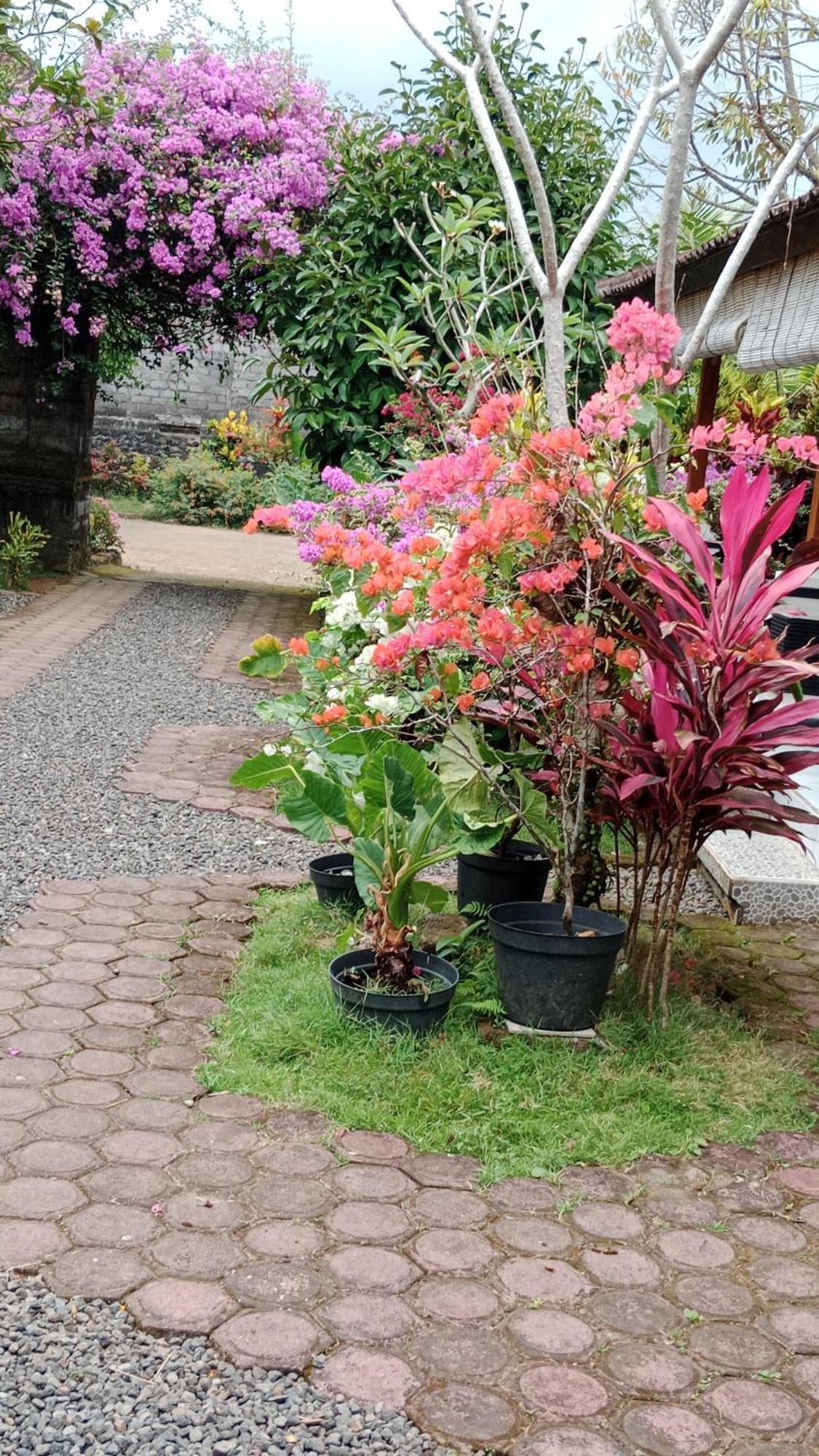 Appartement House Market Sidemen (Bali)