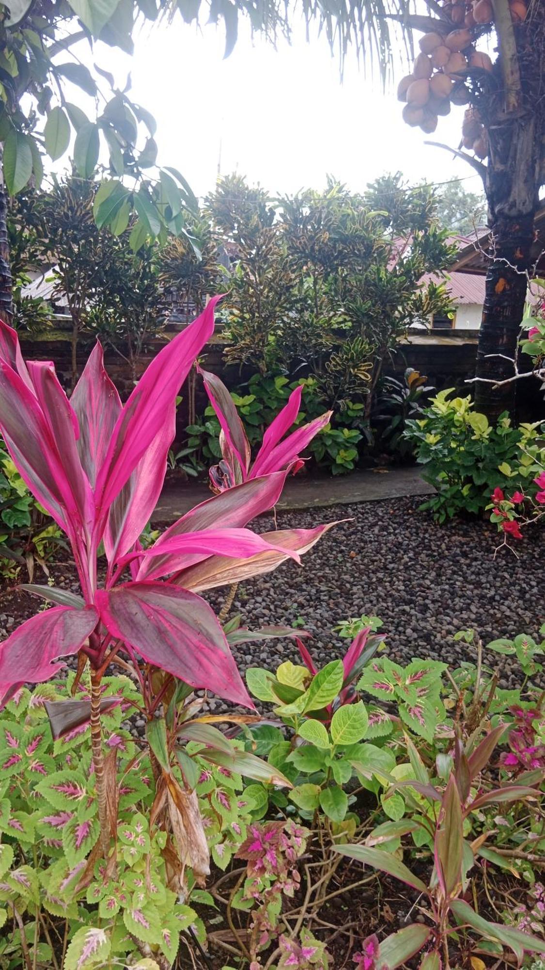 House Market Sidemen (Bali)