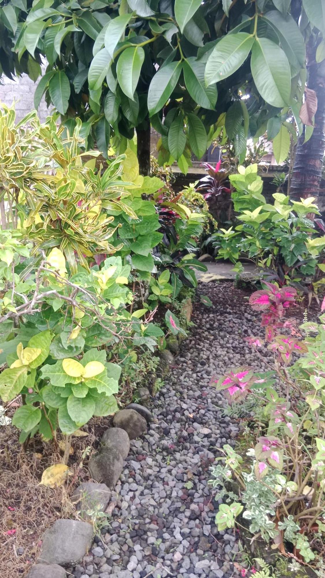House Market * Sidemen (Bali)